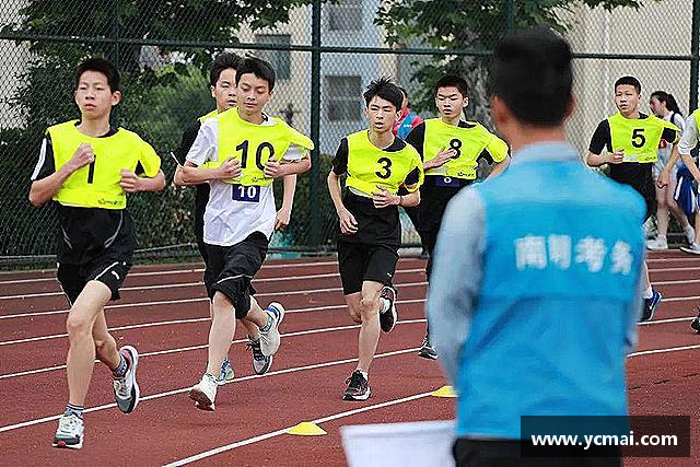 发现博鱼boyu